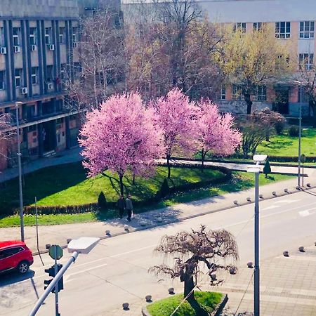 Bella Apartments Kruševac Exterior foto