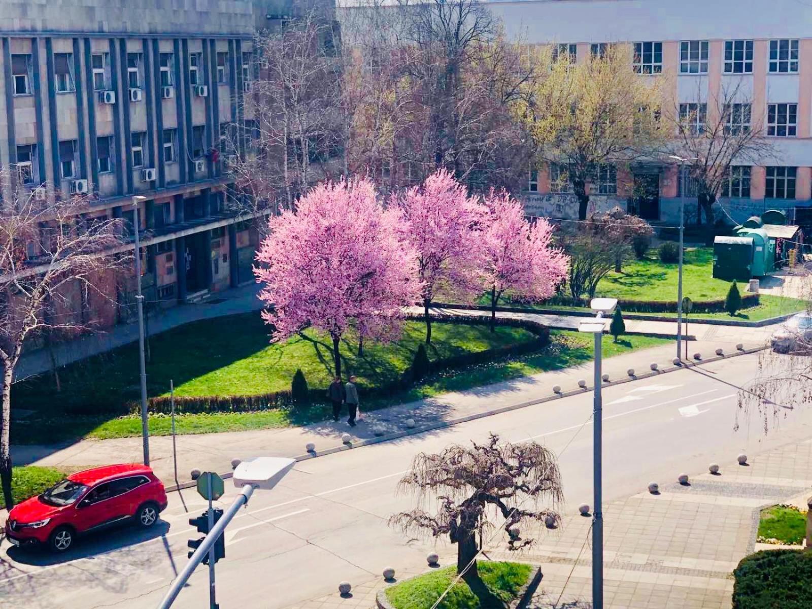 Bella Apartments Kruševac Exterior foto